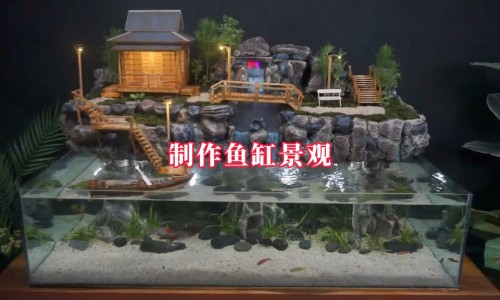 权威哺乳期汤类大全平台,分享专业哺乳期喝鸽子汤知识_哺乳期龟汤网